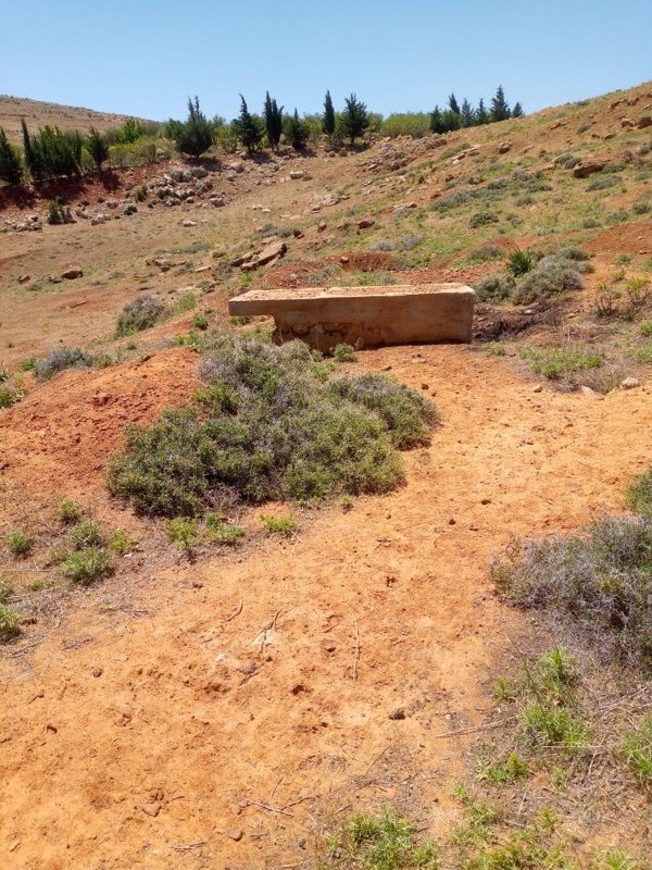 ارض مناسبة للاستثمار بمنطقة الروضة بالزبداني 