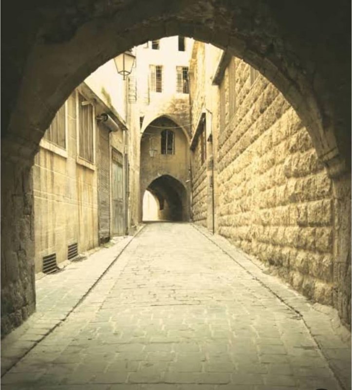 مشروع استثماري سياحي فندق مطعم 