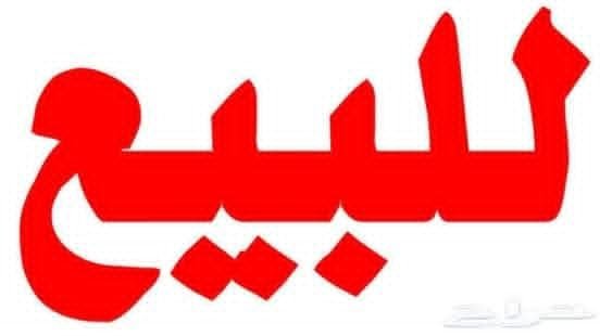 لدينا شقة مناسبة بدوير الشيخ سعد 