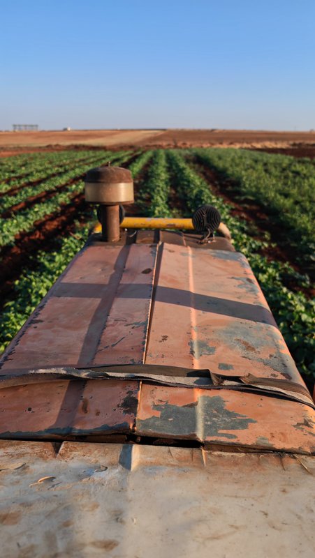 أرض للبيع مساحة 6.5 هكتار في الطلحية 